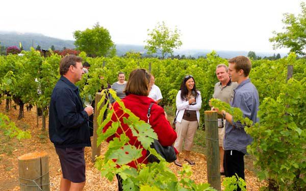 Things To Do In Alghero When It's Raining
