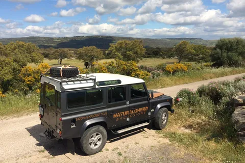 Alghero: Nature, Culture and Breathtaking Views Tour by Jeep