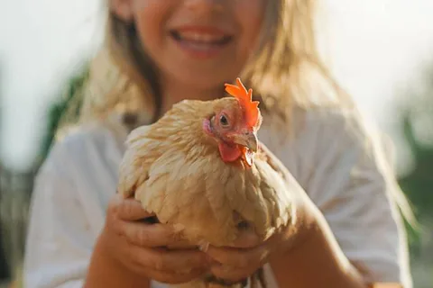 Alghero: visit an animal shelter in Olmedo