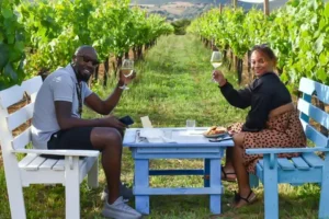 Alghero: wine tasting w/ local aperitif in the vineyard