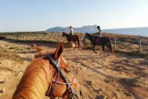 Alghero: Guided Horseback Ride at Lake Baratz & Porto Ferro