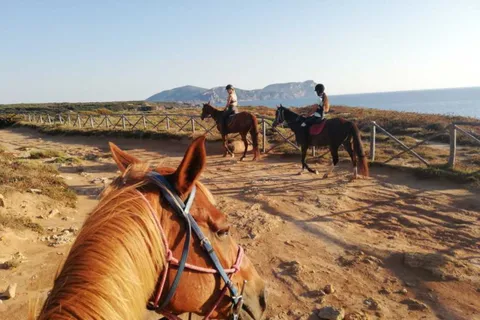 Alghero: Guided Horseback Ride at Lake Baratz & Porto Ferro